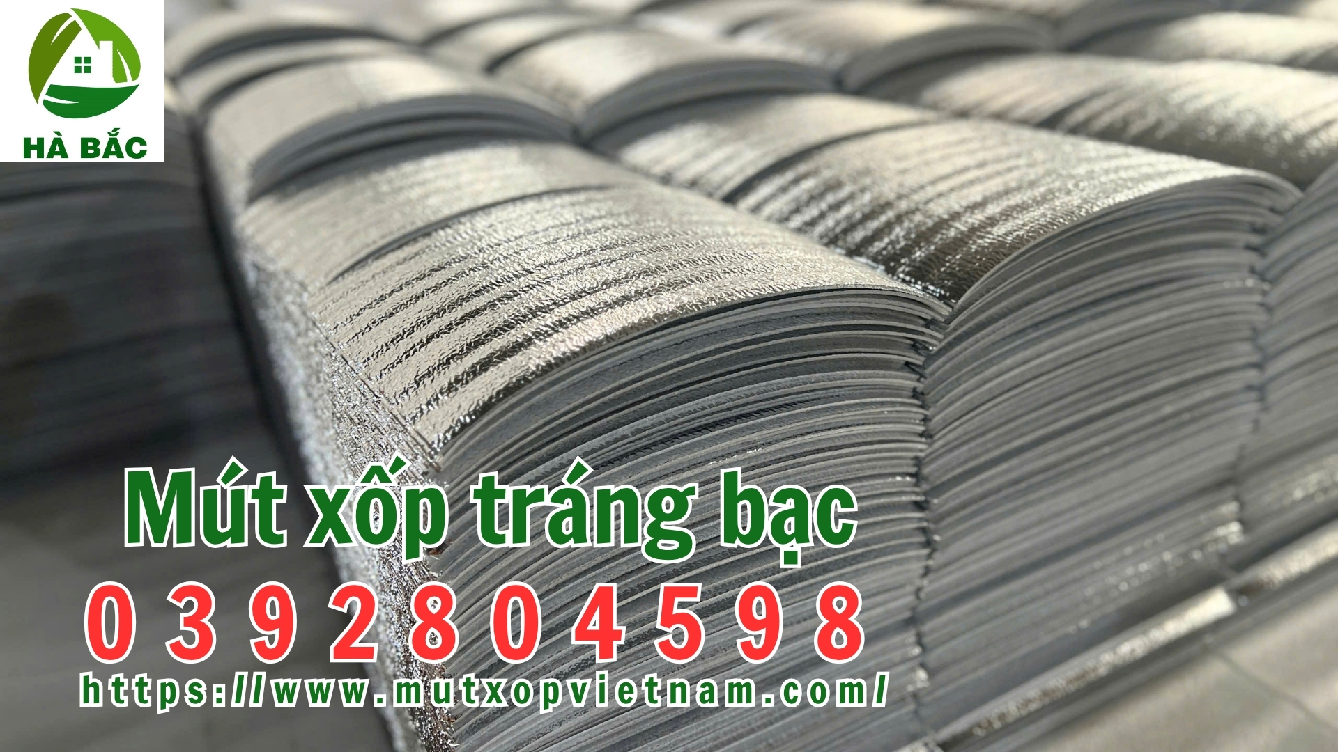 mut-xop-trang-bac mut-xop-trang-bac